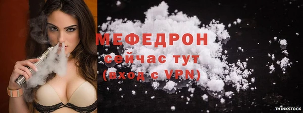 сатива Заводоуковск