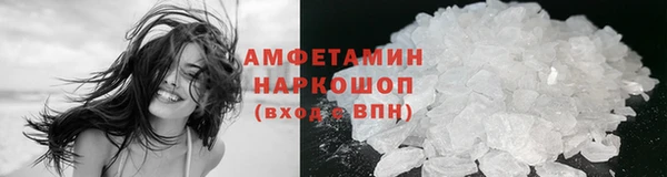 сатива Заводоуковск