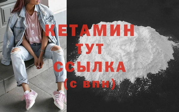 сатива Заводоуковск
