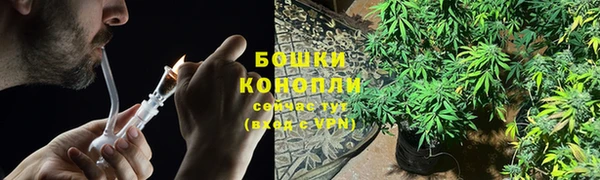 сатива Заводоуковск