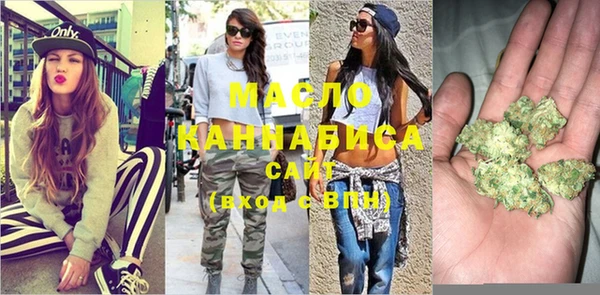 сатива Заводоуковск