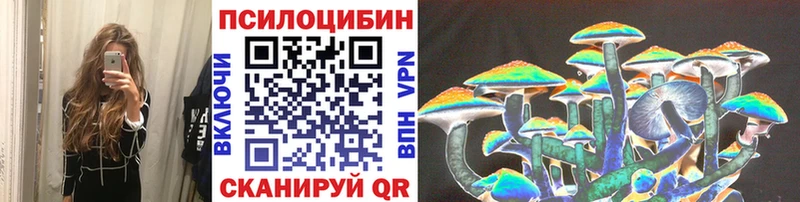 Купить закладки  Михайлов  Псилоцибиновые грибы Psilocybe 